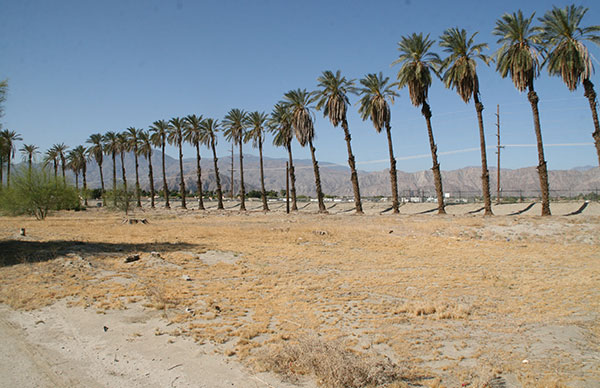 Commercial-Land,-Highway-111,-Indio,-CA-92201