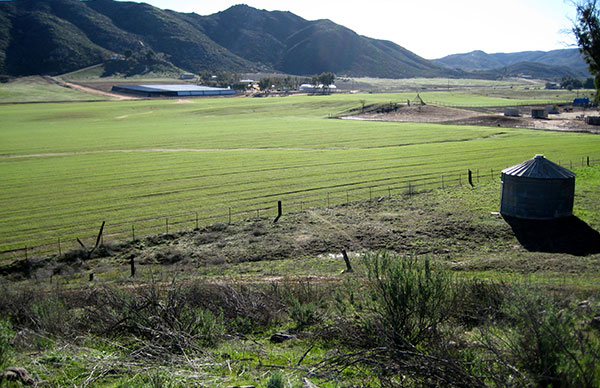 Residential-land,-Palm-Avenue-at-Mojo-Way,-Hemet,-CA-92543